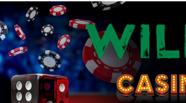 Other Sites Like Wild Casino